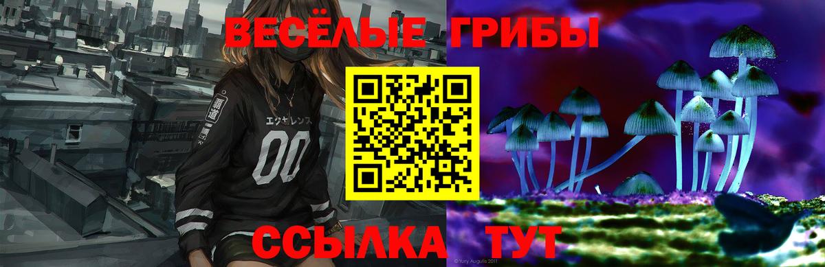 Псилоцибиновые грибы GOLDEN TEACHER  Вход с VPN  Сургут  Псилоцибиновые грибы Psilocybe 